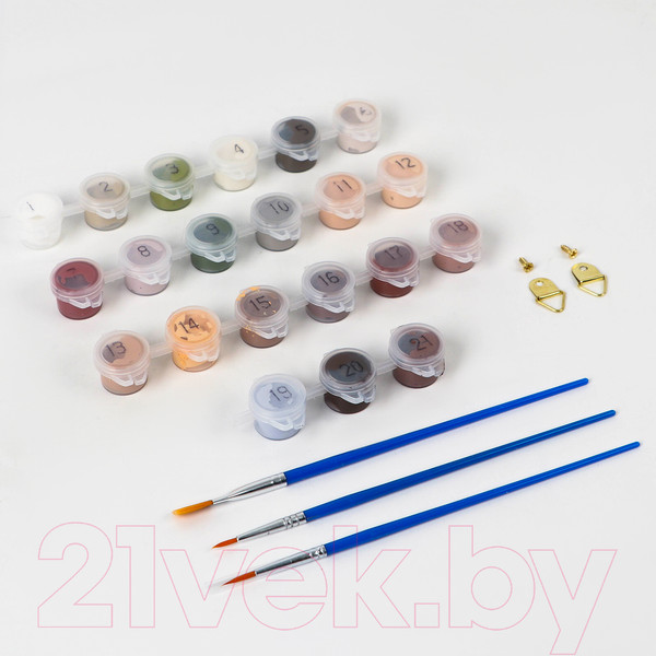 Изображение товара Картина по номерам Школа талантов Балерина / 9688709