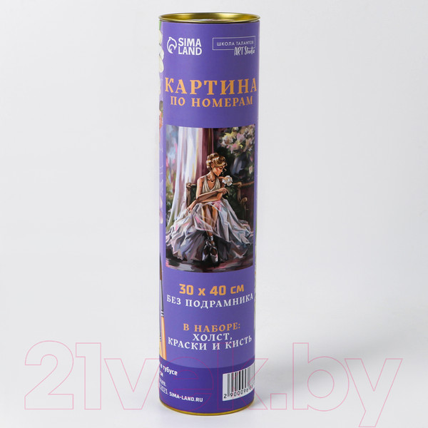 Изображение товара Картина по номерам Школа талантов Балерина / 9688709