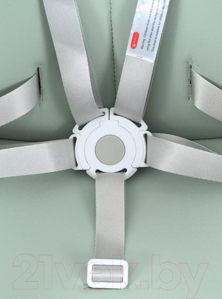 Изображение товара Стульчик для кормления Rant Juicy / RH160 (Ocean Green)