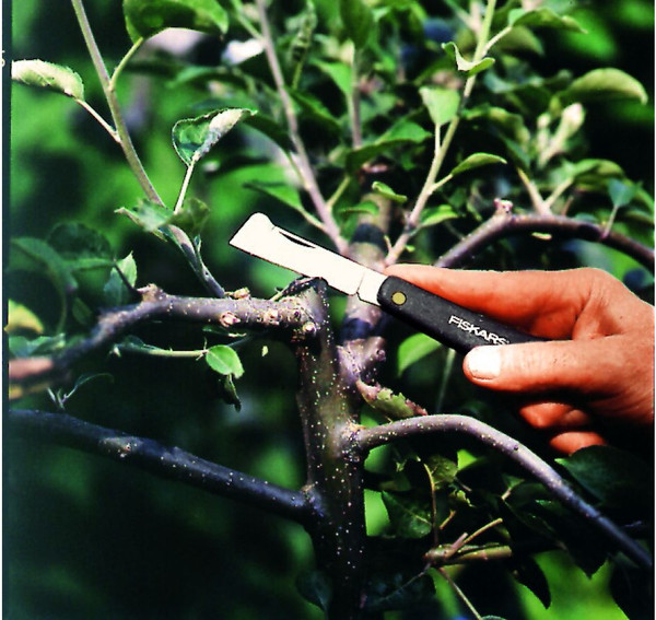 Изображение товара Нож садовый Fiskars 1001625