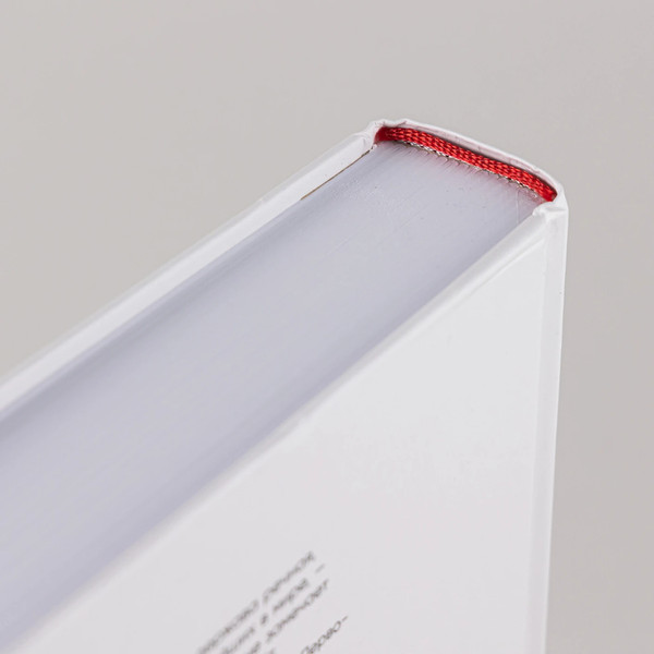 Изображение товара Книга Альпина Речфлот / 9785002231195 (Иванов А.В.)