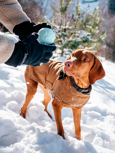 Изображение товара Игрушка для собак Explorer Dog TED134 (бирюзовый)