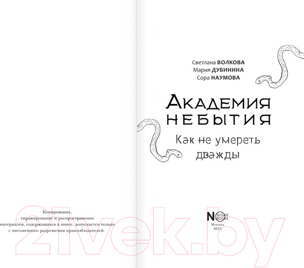 Изображение товара Книга АСТ Академия небытия. Как не умереть дважды / 9785171584085 (Волкова С. и др.)