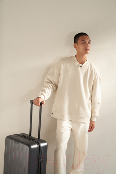 Изображение товара Чемодан на колесах 90 Ninetygo Touch Luggage 28 (черный)