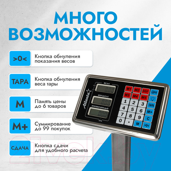 Изображение товара Весы платформенные Atlanta ATH-6113 (серый)