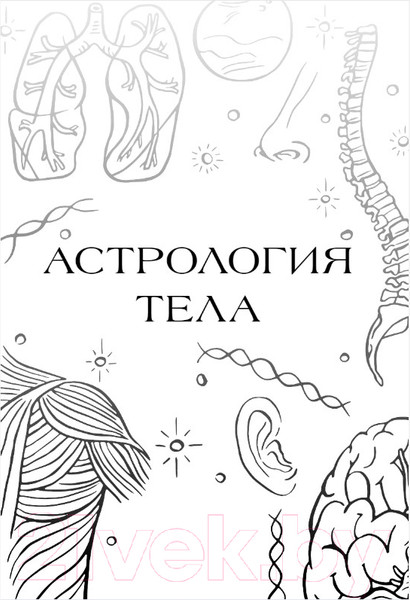 Изображение товара Книга Бомбора Астрология тела. Исцеляющая сила звезд / 9785041848781 (Галлагер К.)