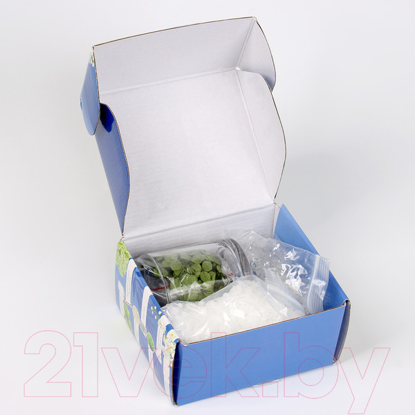 Изображение товара Набор для изготовления свечей Школа талантов Зеленое яблоко / 10100649