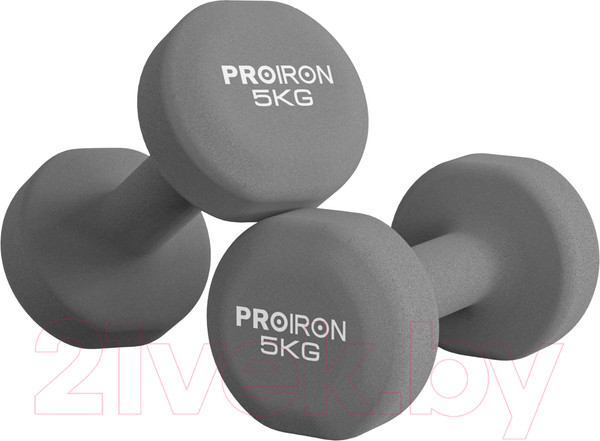 Изображение товара Набор гантелей Proiron Неопреновые / Г2050НЕО (2шт)