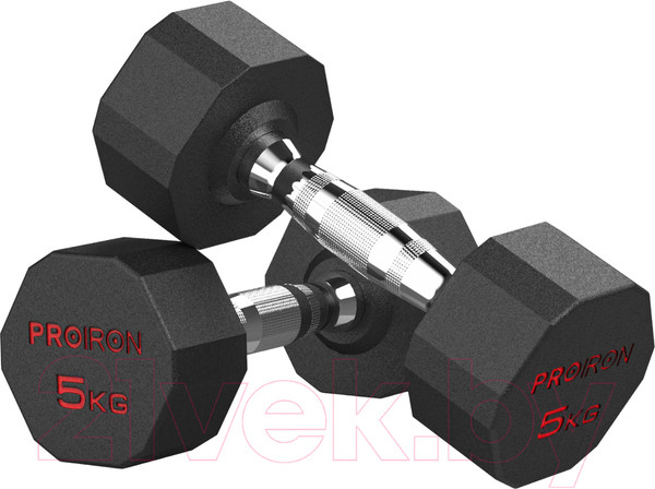 Изображение товара Набор гантелей Proiron Обрезиненные / Г2050ОБР (2шт)