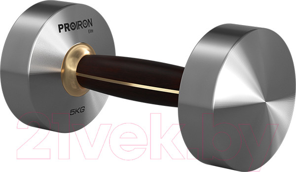 Изображение товара Гантель Proiron Г1050НЧ (5кг)