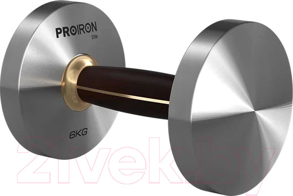 Изображение товара Гантель Proiron Г1060НЧ (6кг)