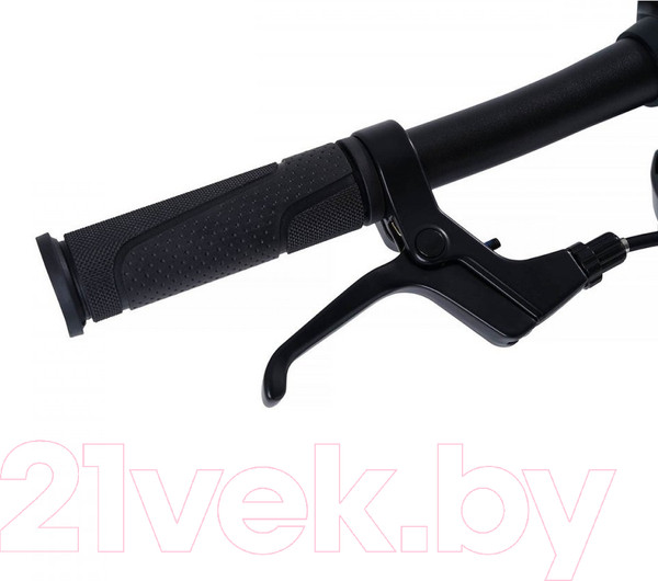 Изображение товара Детский велосипед Maxiscoo S007 Pro 2024 / MSC-007-1409P (бронзовый)
