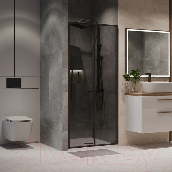 Изображение товара Душевая дверь Niagara NG-85-10TB 100x195 (черный матовый/тонированное стекло)