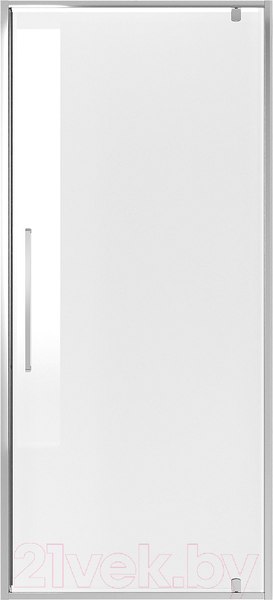 Изображение товара Душевая дверь Niagara NG-66-10A 100x195 (хром/прозрачное стекло)