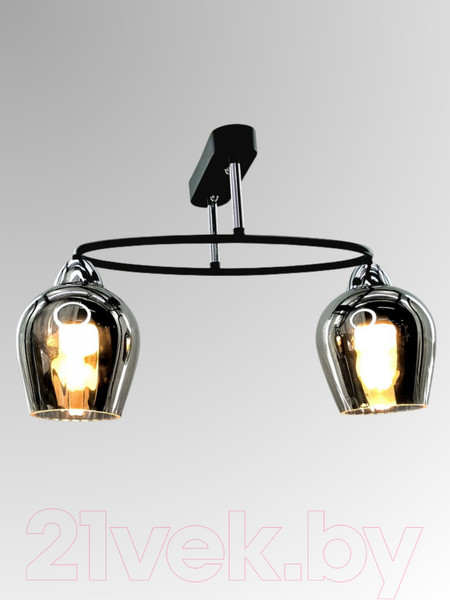 Изображение товара Потолочный светильник Aitin-Pro НПБ 02-2x60-101 / 8064/2 (черный/хром)