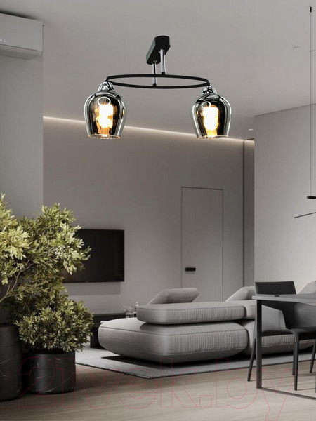 Изображение товара Потолочный светильник Aitin-Pro НПБ 02-2x60-101 / 8064/2 (черный/хром)