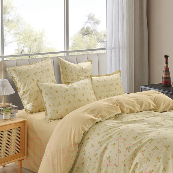 Изображение товара Комплект постельного белья Sofi de Marko  Бони 1.6 / 1.6-5635 (бежевый)