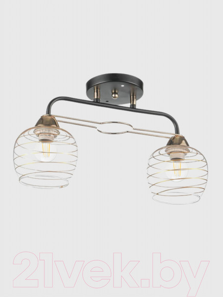 Изображение товара Потолочный светильник Aitin-Pro НПБ 02-2х60-101 / 6004/2 (черный/золото)
