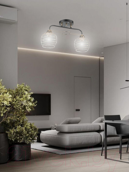 Изображение товара Потолочный светильник Aitin-Pro НПБ 02-2х60-101 / 6004/2 (черный/золото)