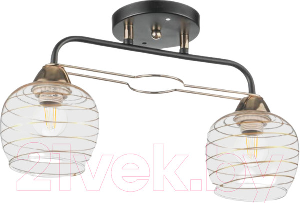 Изображение товара Потолочный светильник Aitin-Pro НПБ 02-2х60-101 / 6004/2 (черный/золото)