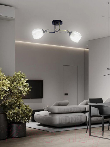 Изображение товара Потолочный светильник Aitin-Pro НПБ 02-2х60-101 / A3770/2 (бронза/черный)