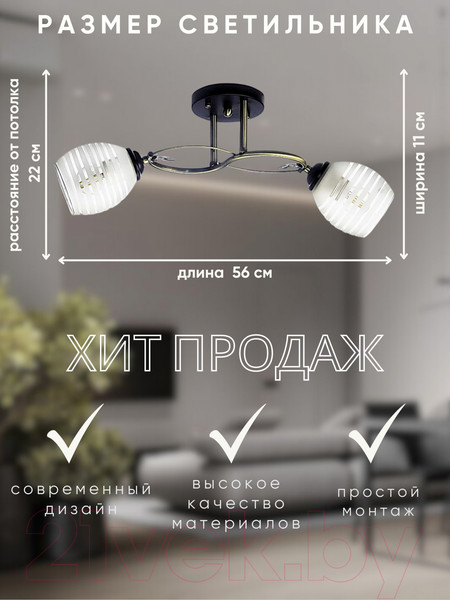 Изображение товара Потолочный светильник Aitin-Pro НПБ 02-2х60-101 / A3770/2 (бронза/черный)