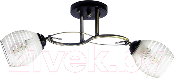 Изображение товара Потолочный светильник Aitin-Pro НПБ 02-2х60-101 / A3770/2 (бронза/черный)