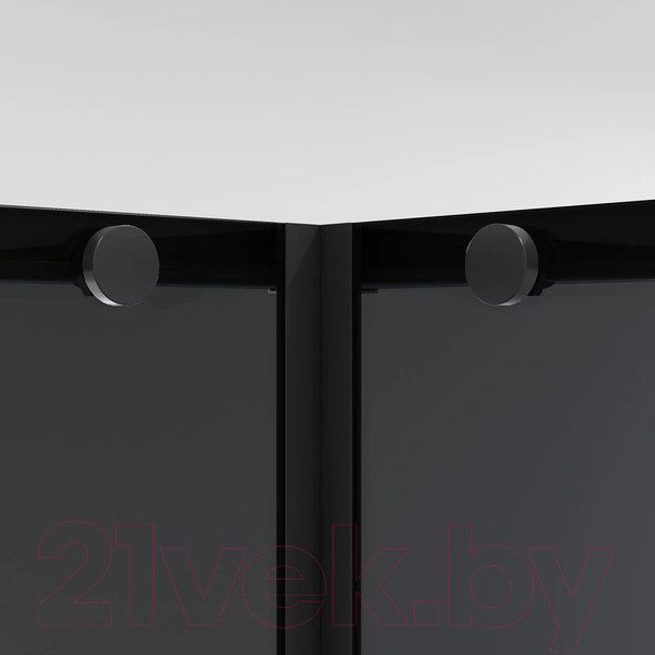 Изображение товара Душевой уголок Niagara NG-2823-34BLACK 90x90x195 (черный матовый/тонированное стекло)