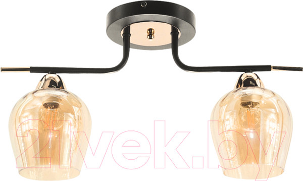 Изображение товара Потолочный светильник Aitin-Pro НПБ 02-2x60-102 / 9085/2 (золото)