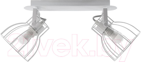 Изображение товара Потолочный светильник Aitin-Pro НПБ 02-2x60-102 / P8544/2 (белый)