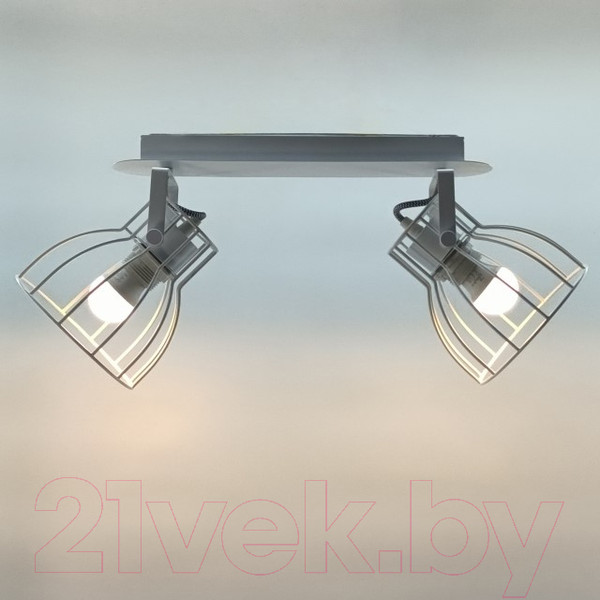 Изображение товара Потолочный светильник Aitin-Pro НПБ 02-2x60-102 / P8544/2 (белый)