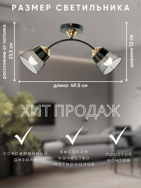 Изображение товара Потолочный светильник Aitin-Pro НПБ 02-2x60-102 / XA1539/2