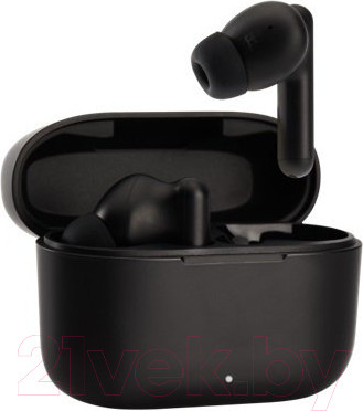 Изображение товара Беспроводные наушники Panasonic RZ-B110WDG-K (черный)