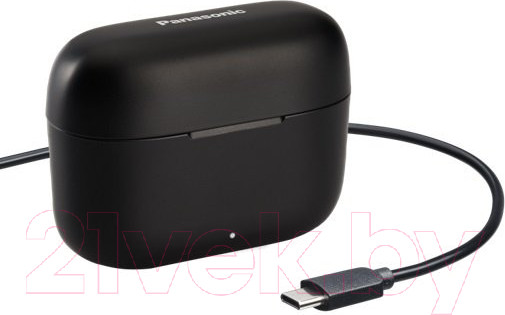 Изображение товара Беспроводные наушники Panasonic RZ-B110WDG-K (черный)