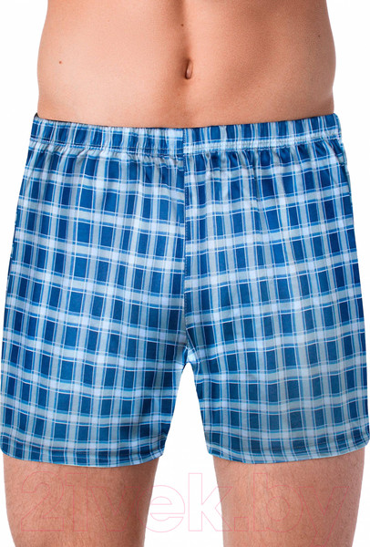 Изображение товара Трусы мужские Alfa Man 6400 рис.014 (р-р 110-114, синий)