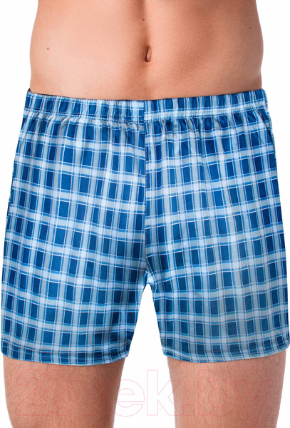 Изображение товара Трусы мужские Alfa Man 6400 рис.014 (р-р 94-98, синий)