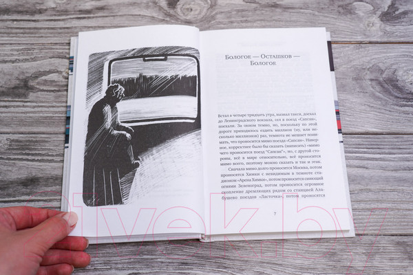 Изображение товара Книга АСТ Пустые поезда 2022 года / 9785171581701 (Данилов Д.А.)