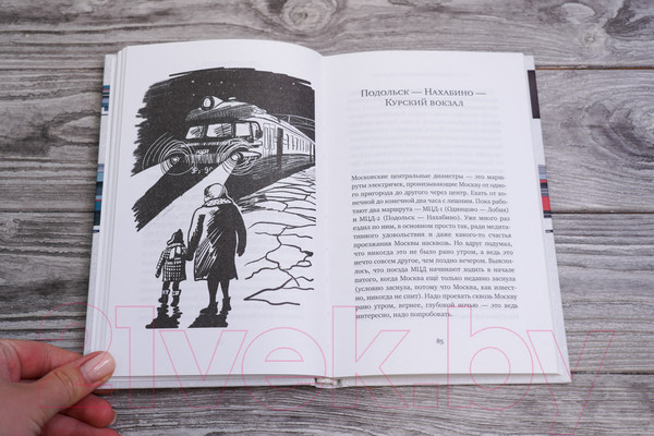 Изображение товара Книга АСТ Пустые поезда 2022 года / 9785171581701 (Данилов Д.А.)