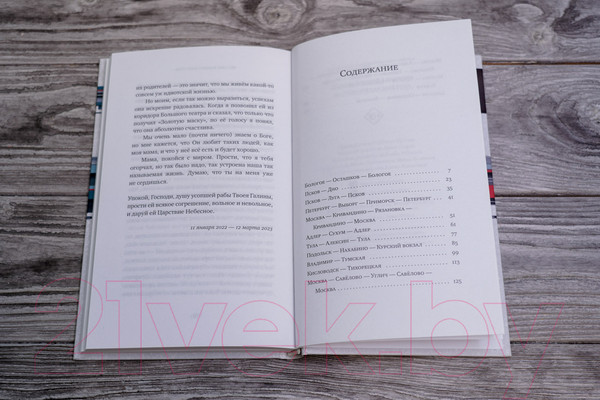 Изображение товара Книга АСТ Пустые поезда 2022 года / 9785171581701 (Данилов Д.А.)