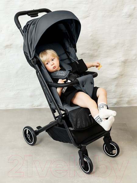 Изображение товара Детская прогулочная коляска Amarobaby Route / AB23-10ROUTE/10 (графит)