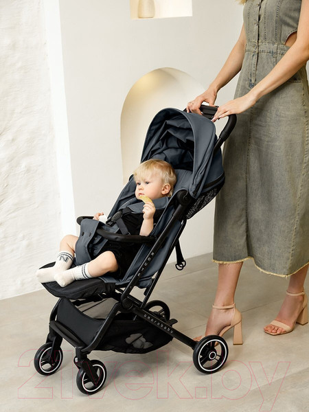 Изображение товара Детская прогулочная коляска Amarobaby Route / AB23-10ROUTE/10 (графит)