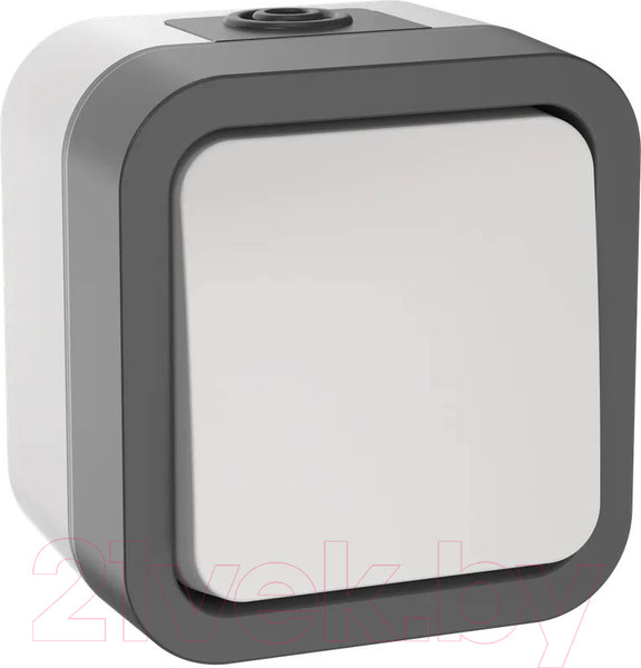 Изображение товара Выключатель IEK Tors TS-V16-0-10-55-K41 (белый)