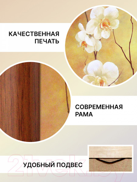 Изображение товара Картина Декарт Белые цветы на коричневом 8Л2223 (в раме)