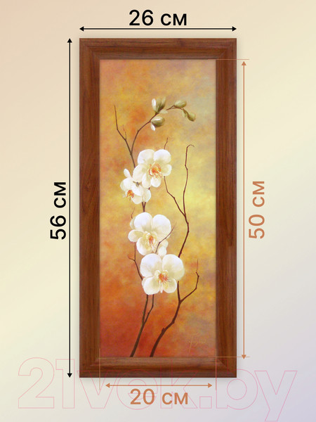 Изображение товара Картина Декарт Белые цветы на коричневом 8Л2223 (в раме)