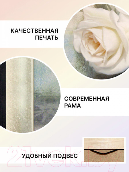 Изображение товара Картина Декарт Три белых розы 8Л3619 (в раме)