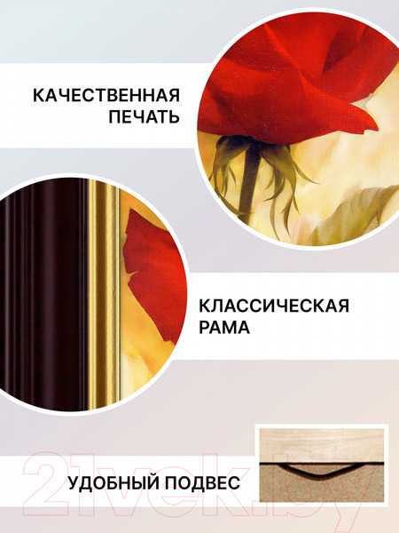 Изображение товара Картина Декарт Алая роза 8Л2464 (в раме)
