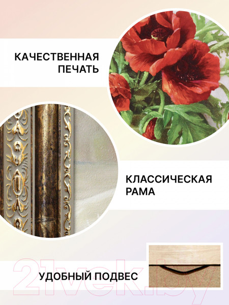 Изображение товара Картина Декарт Весенний маковый цвет 8Л2979 (в раме)