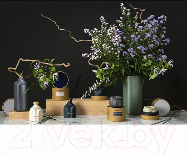 Изображение товара Аромадиффузор Tkano Edge. Vetiver & Black Cypress TK23-DIF0017 (200мл, бежевый)
