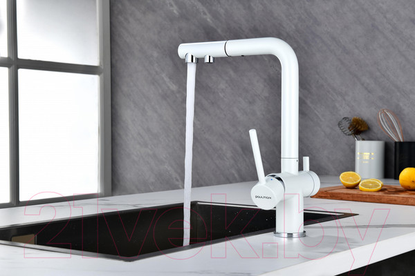 Изображение товара Смеситель Paulmark Serpentine Se213222-431