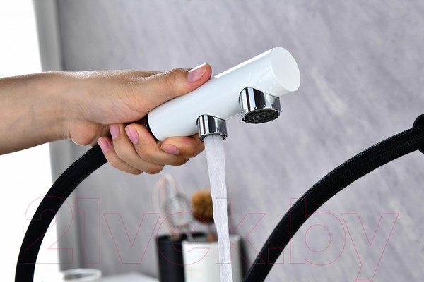 Изображение товара Смеситель Paulmark Serpentine Se213222-431